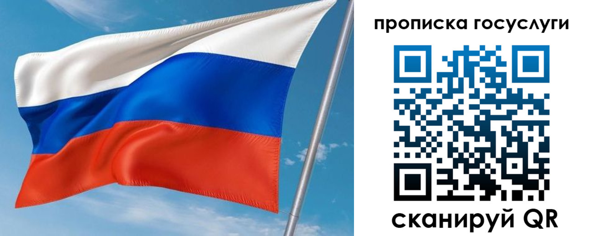 прописка в Курске